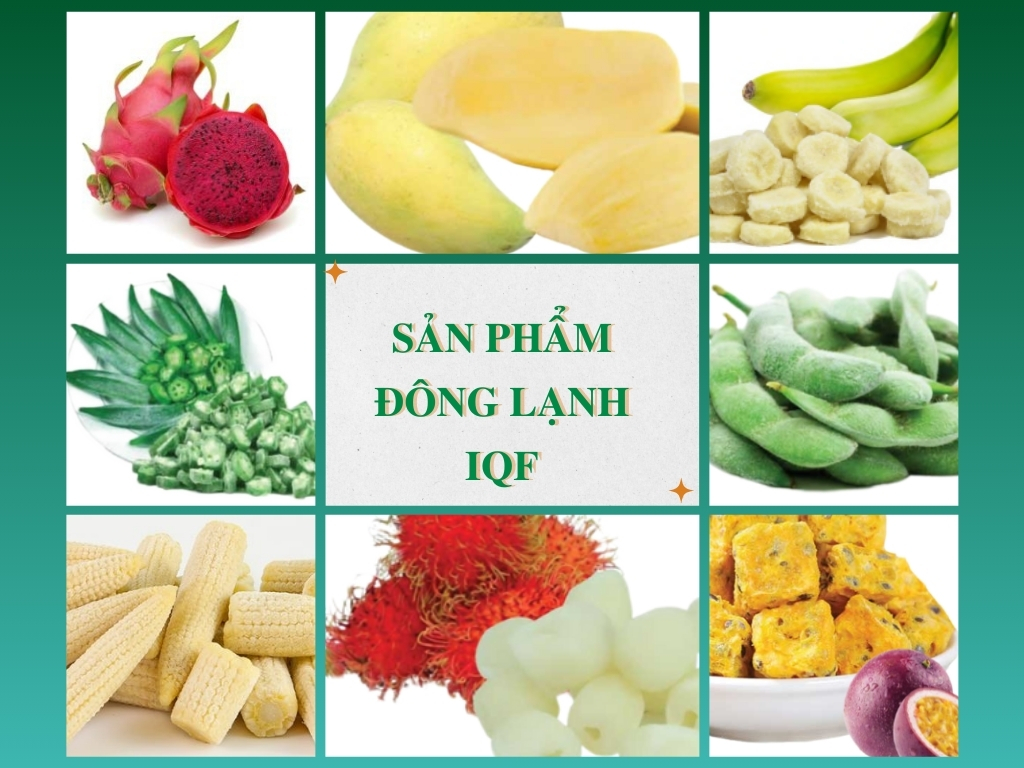 IQF Frozen Products