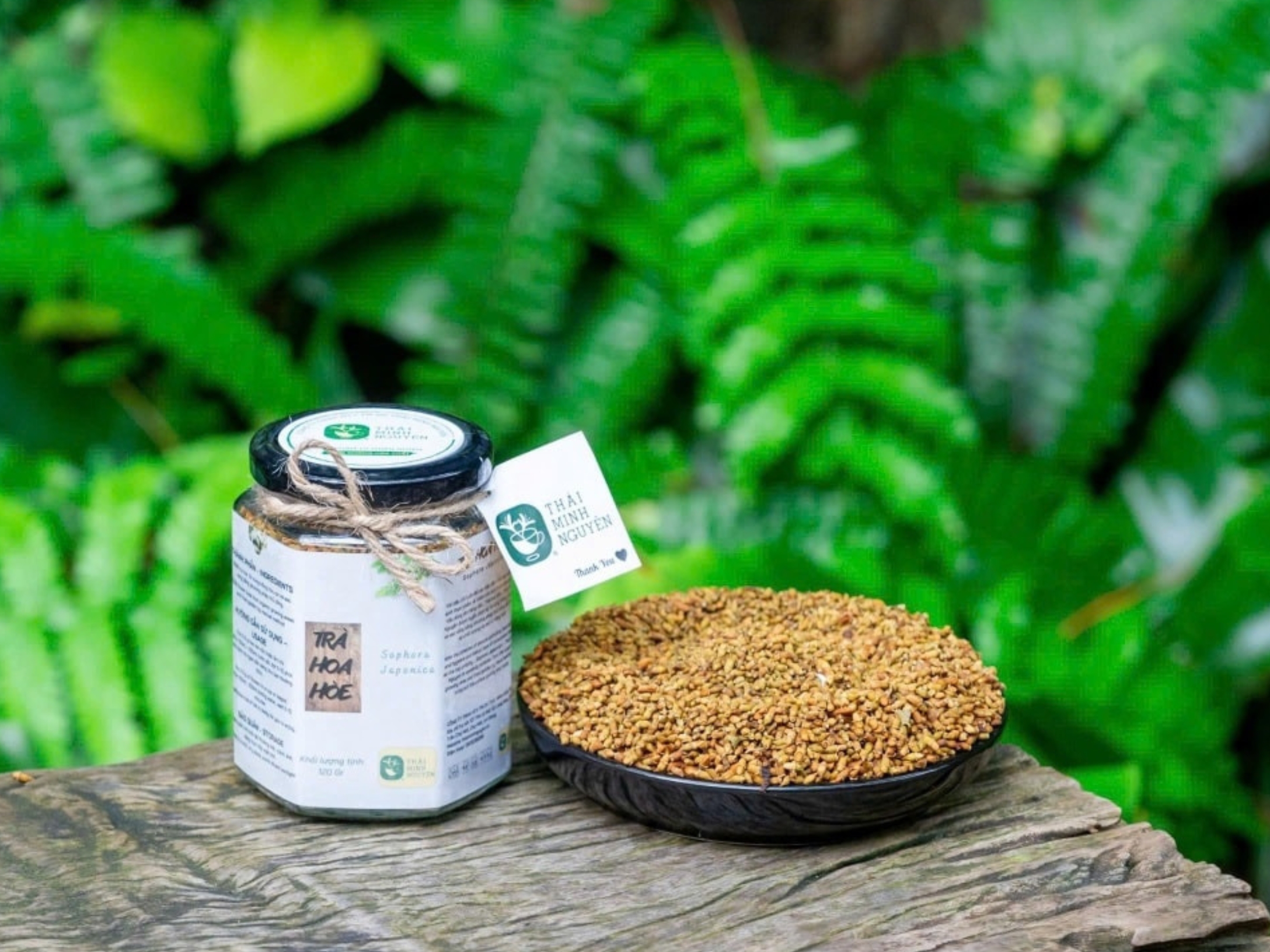 Mission – Vision – Core Values