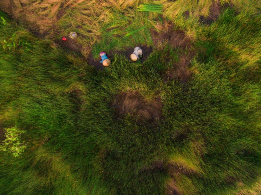 Formation and Development