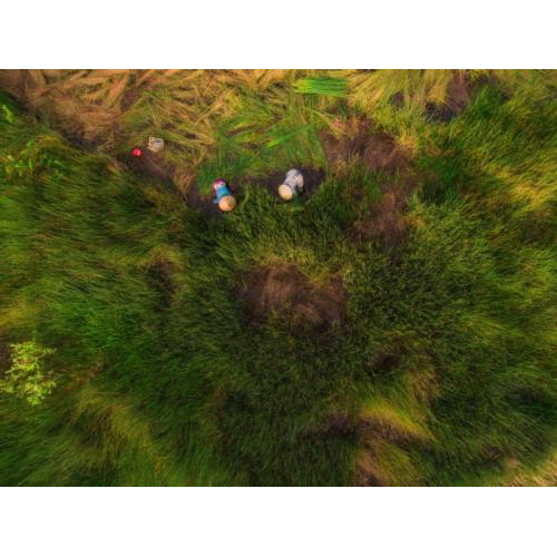 Phu My Women’s Sedge Cooperative