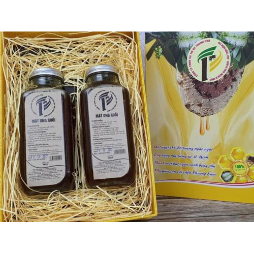 THANH PHU Dwarf Bee Honey – Pure Forest Honey from U Minh Thuong