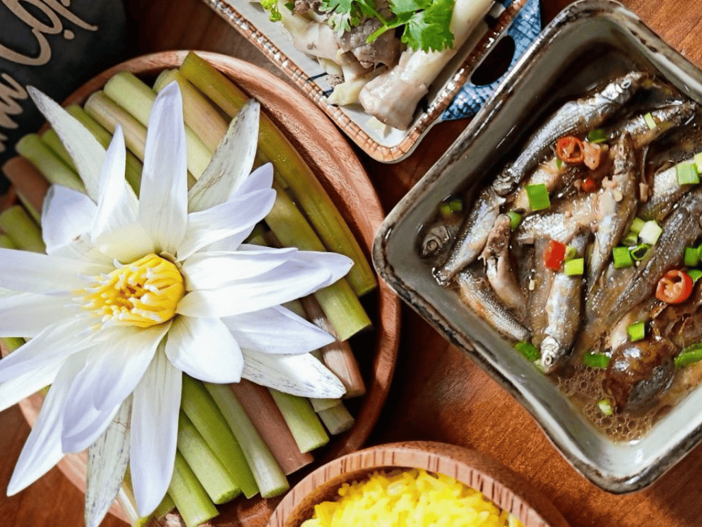 Từ đồng nước đến mâm cơm quê – Hành trình của bông súng ma