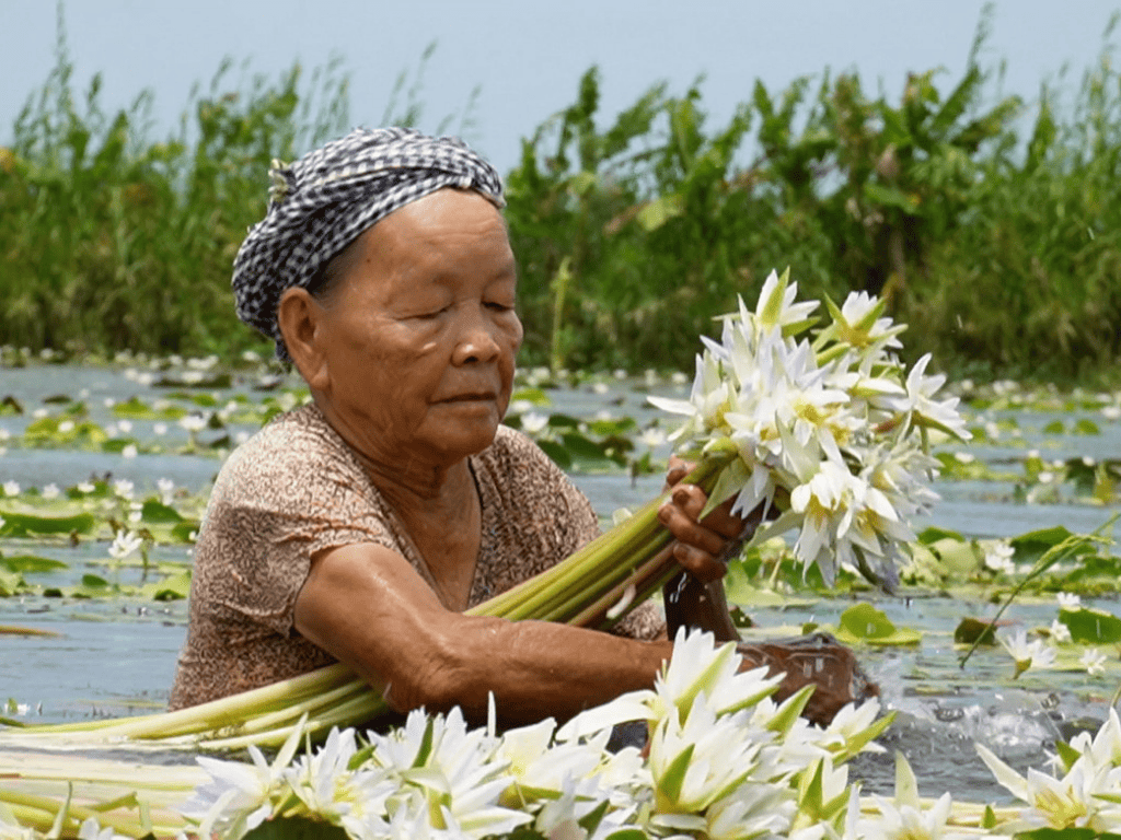 Biểu tượng của sức sống và niềm tin người miền Tây