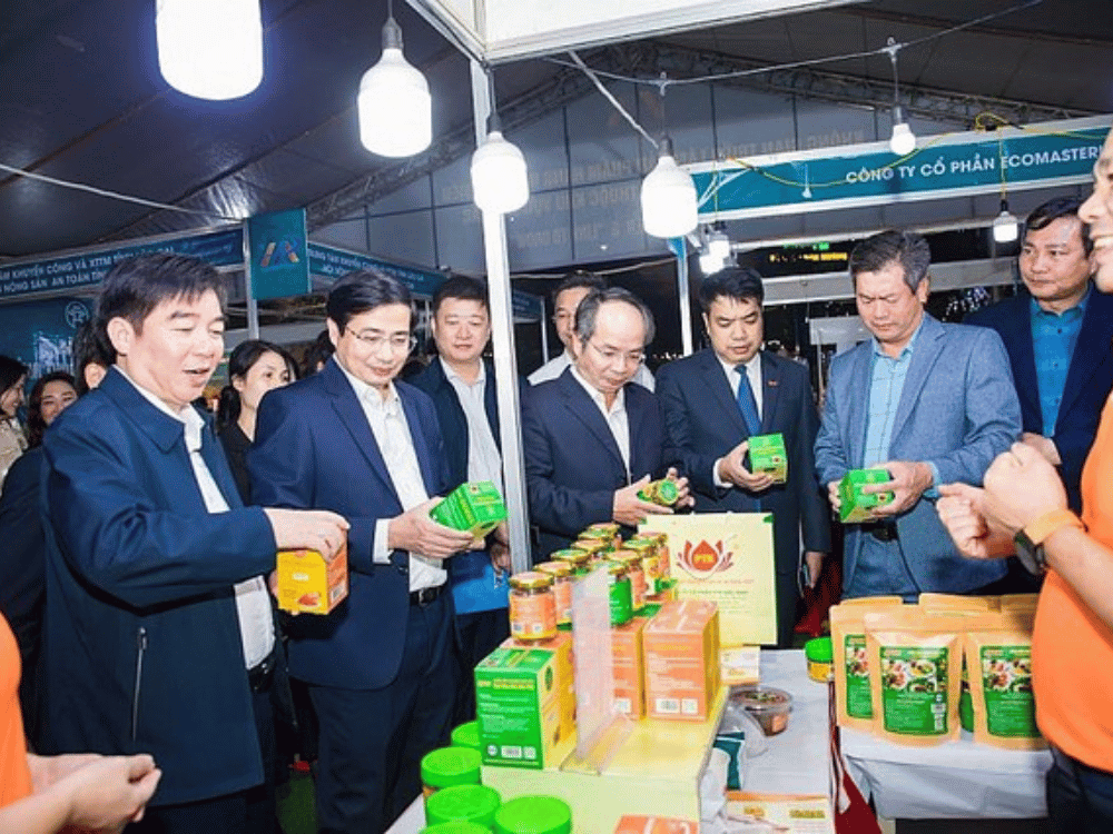 Nội dung chi tiết