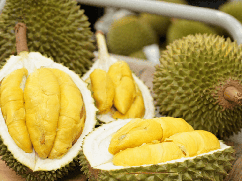 Nội dung chi tiết