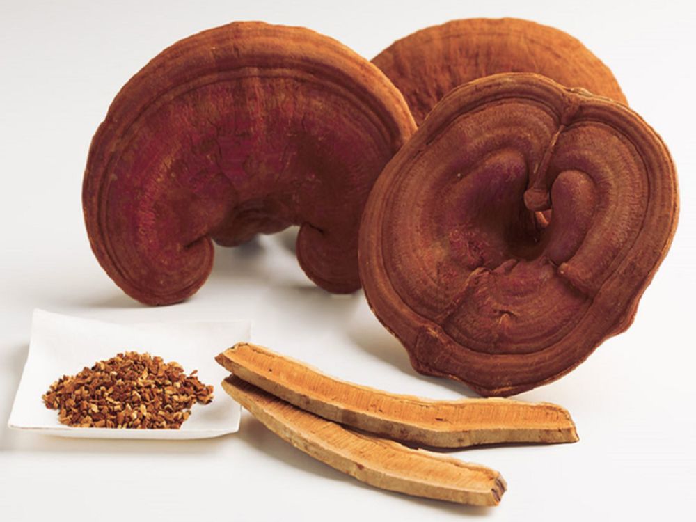 Uống nấm linh chi nhiều có tốt cho sức khỏe không?