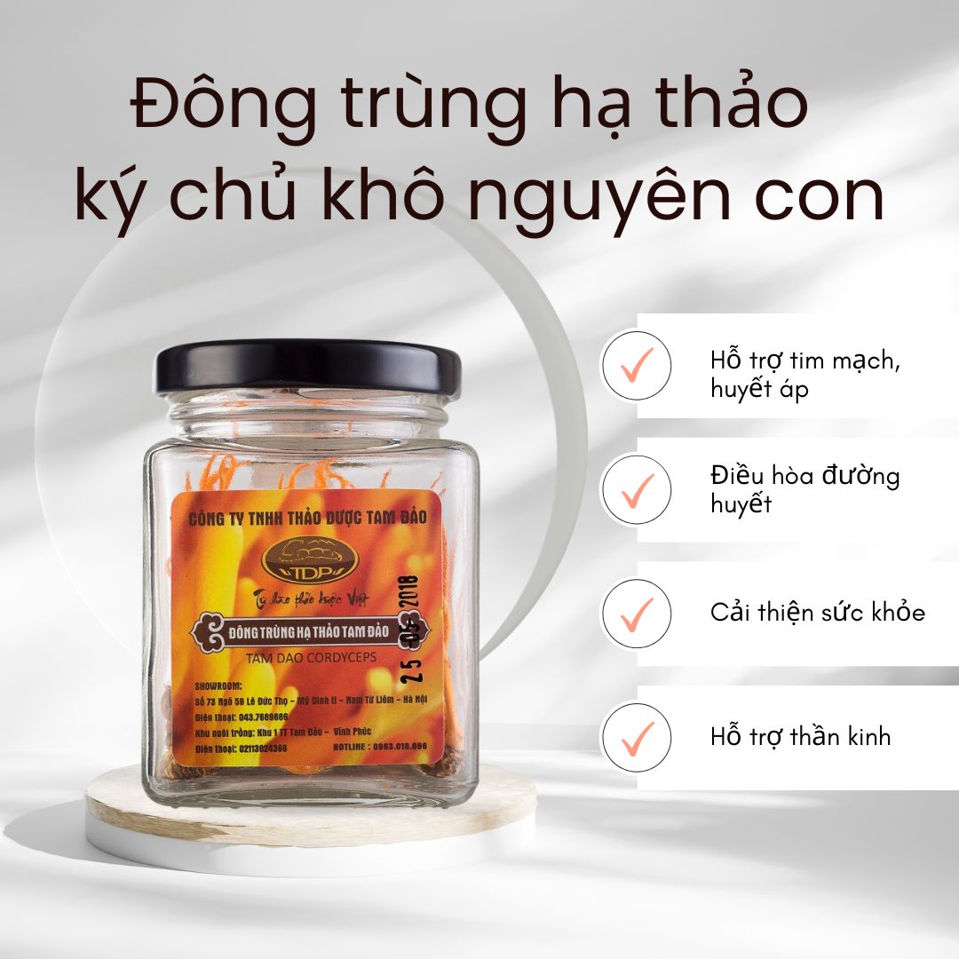 3. Công dụng