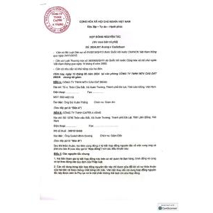 TCB CÀ PHÊ VÀNG PHIN GIẤY A RABICA YELLOW 12GR