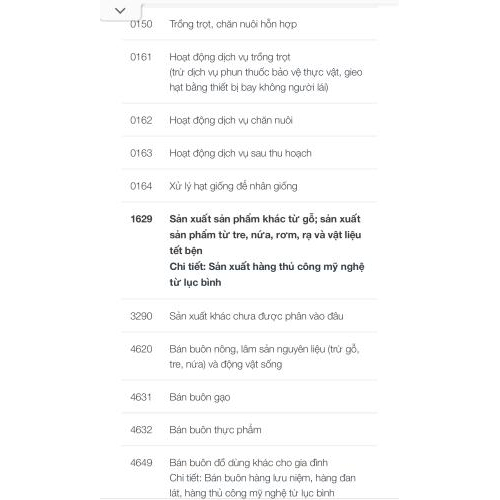 Giấy Chứng Nhận ĐKKD Thiên Long Crafts