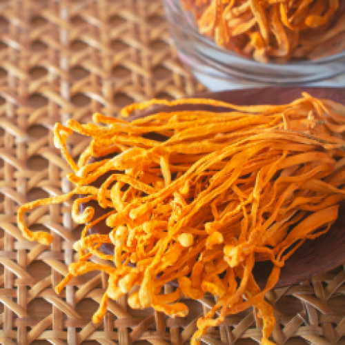 Đông trùng hạ thảo