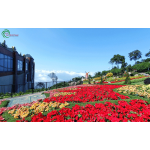 Vé cáp treo núi Bà Đen