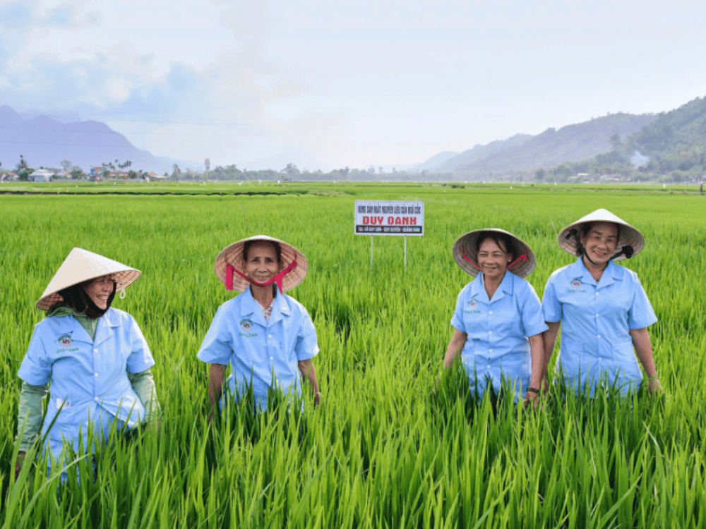 Đào tạo gắn với thực tế