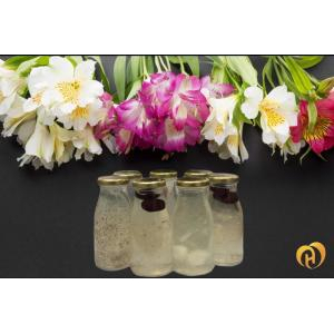 Công Ty TNHH Thực Phẩm Hải Hương