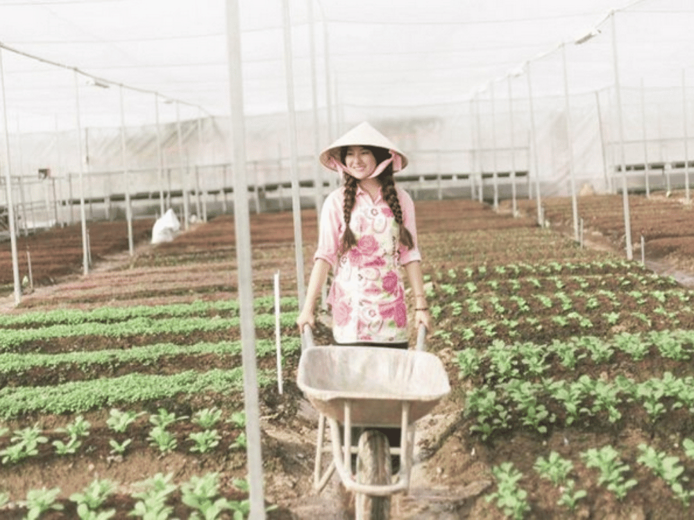 Khởi nghiệp nông nghiệp sạch – Một hành trình cần sự kiên trì dài hơi