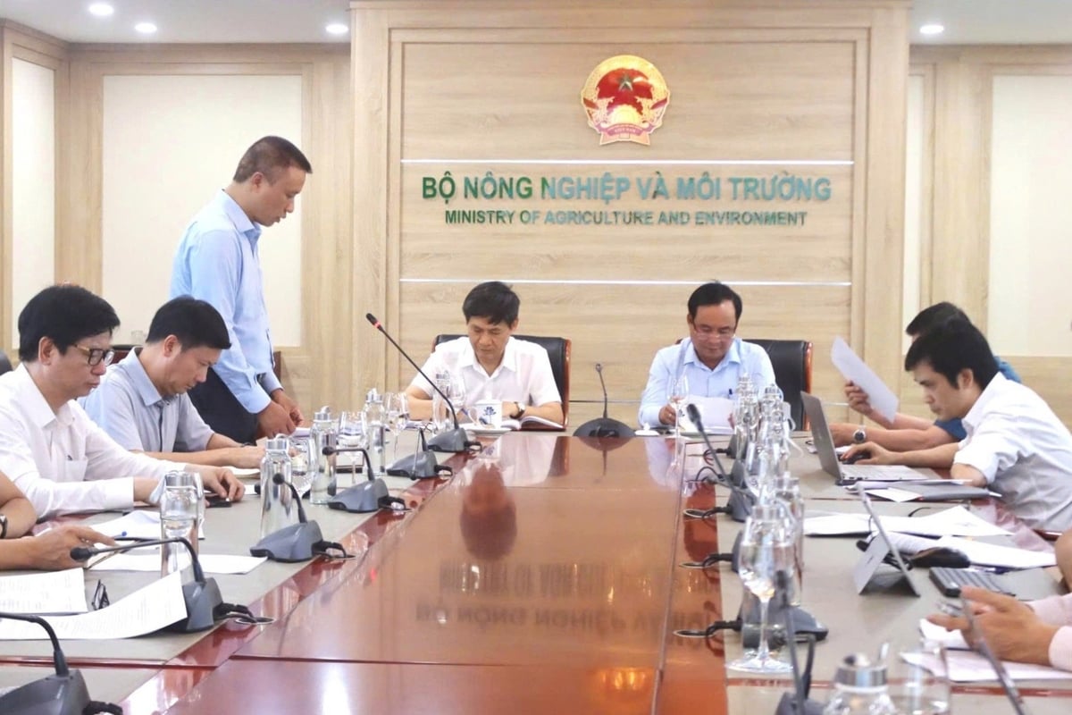 Chính sách phải thiết kế sát với thực tiễn