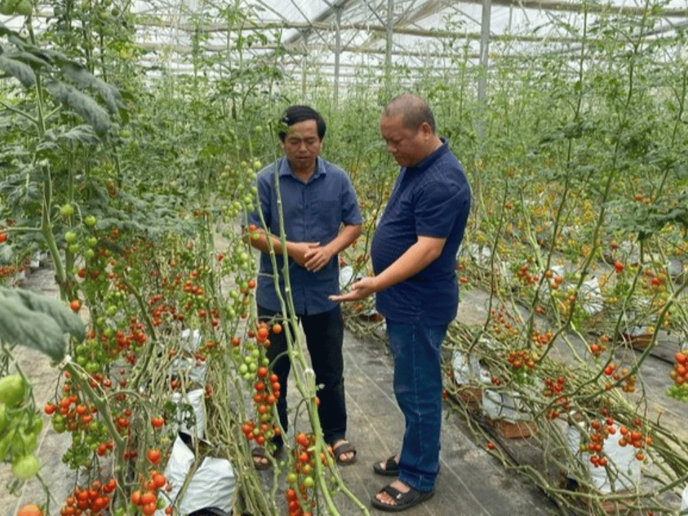 Hai trụ cột then chốt để phát triển nông nghiệp xanh