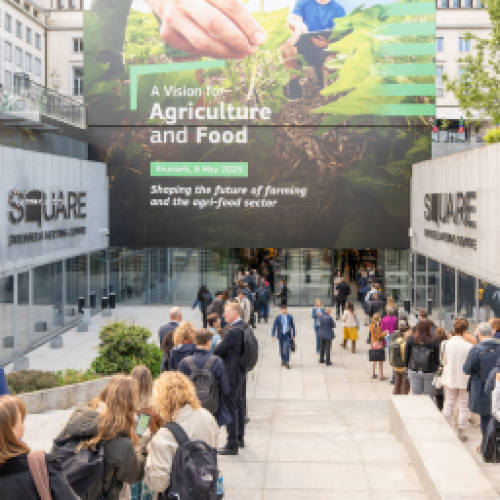 Sự kiện nổi bật