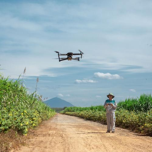 Tổ Chức Tài Chính Ngoại Mạnh Tay Rót Vốn Vào Nông Nghiệp Bền Vững Của Việt Nam