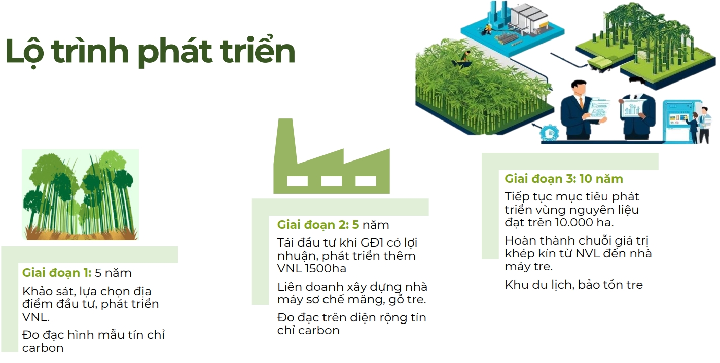 Lộ trình phát triển