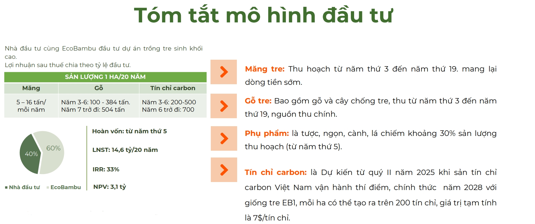 Tóm tắt mô hình đầu tư