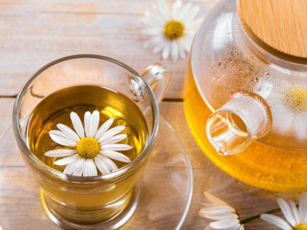 Trà hoa cúc