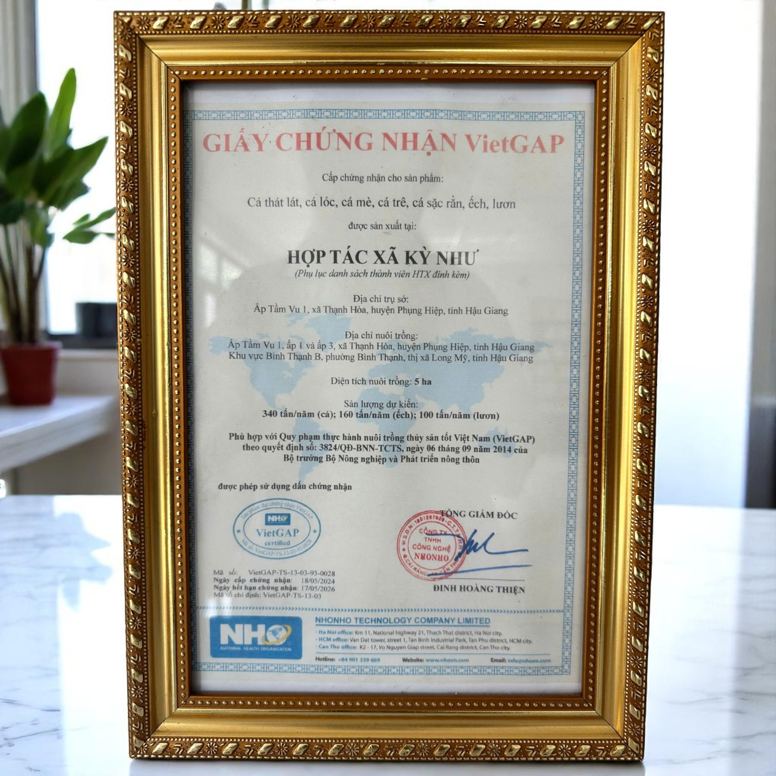 Chứng nhận VietGAP