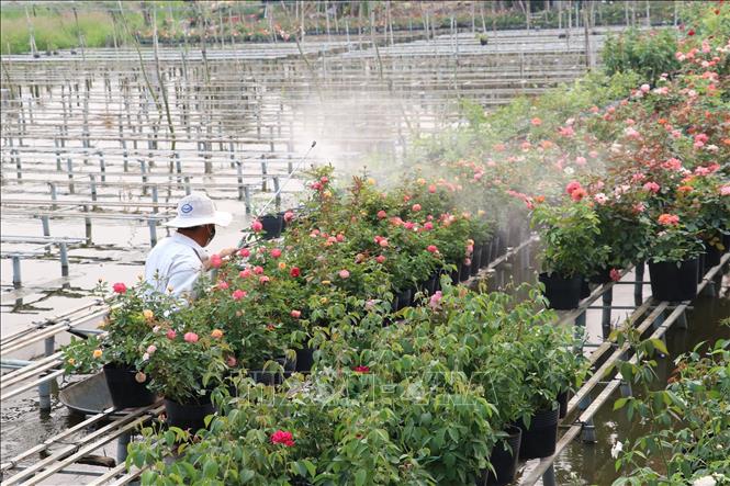 Một trải nghiệm đáng nhớ mà bạn nên thử một lần !