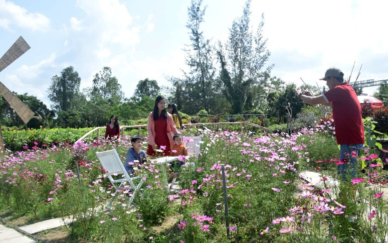 Vì sao nên du lịch sa đéc dịp gần tết?