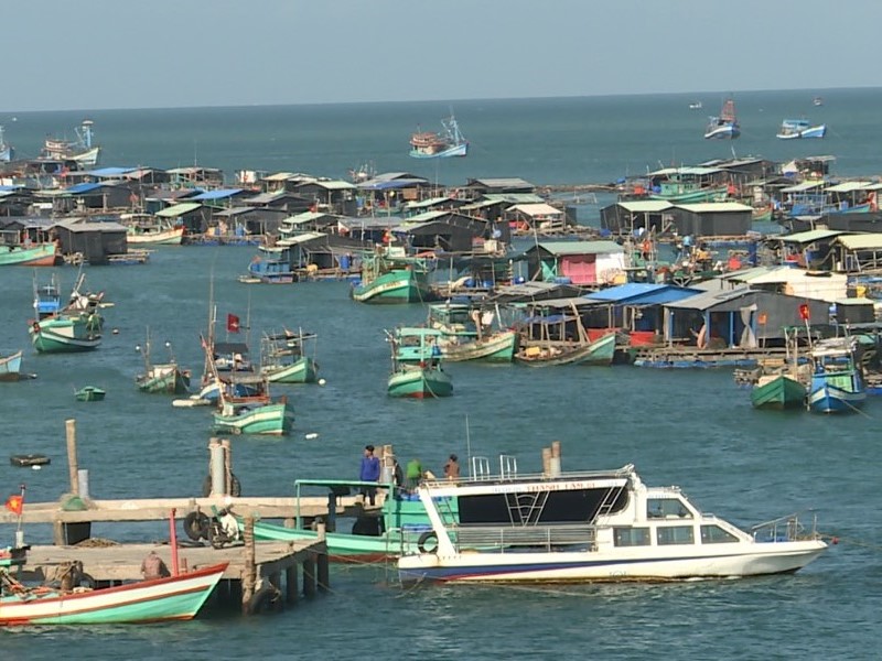 Giới thiệu làng nghề nuôi cá bè Tại Kiên Hải