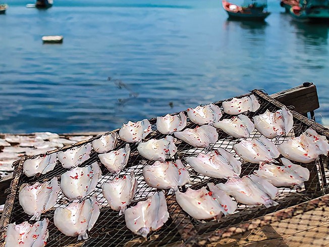 Lịch sử hình thành và phát triển