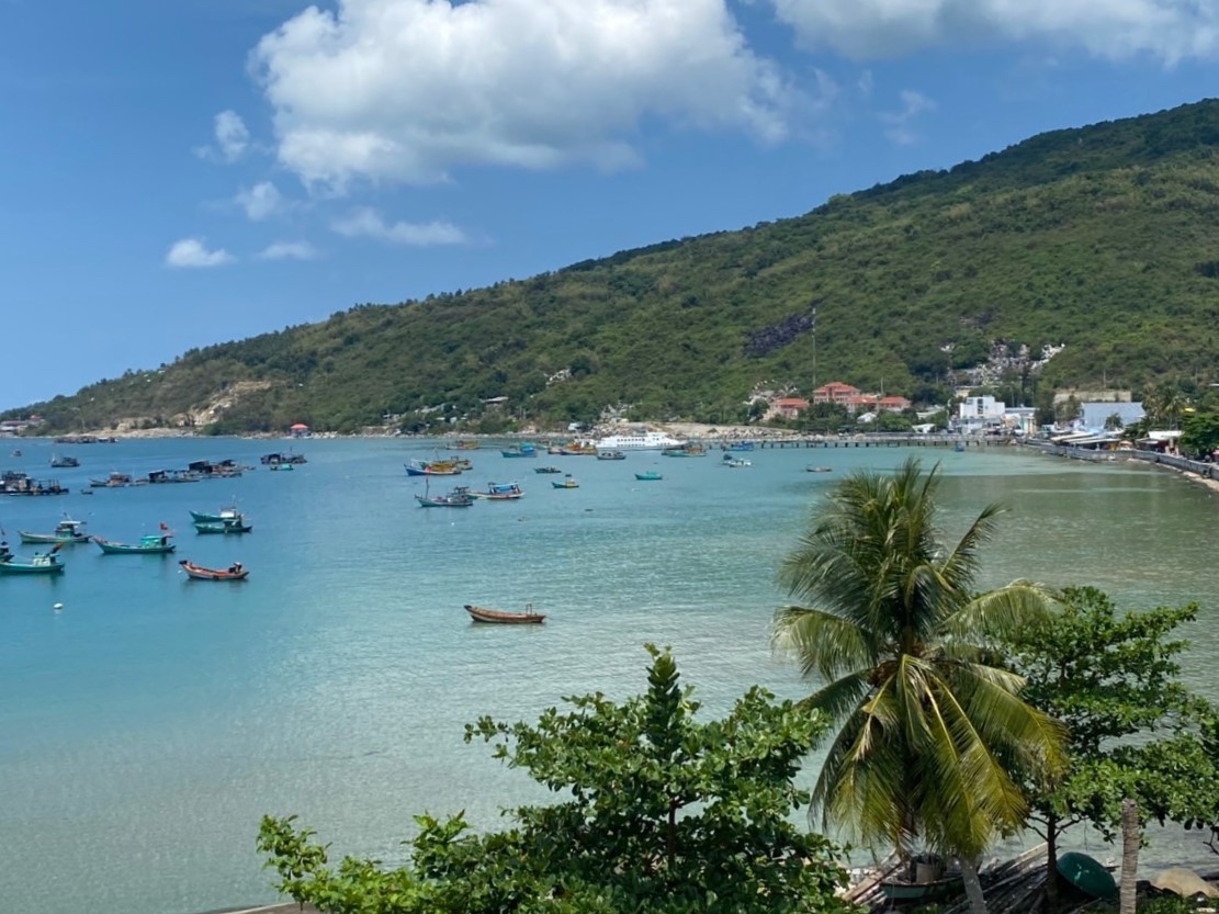 Lịch sử hình thành và phát triển