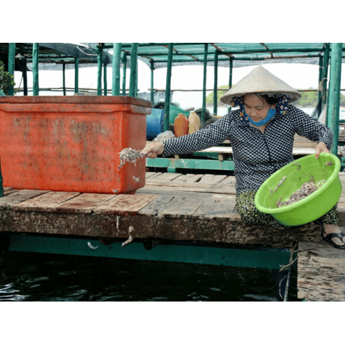 Nội dung chi tiết