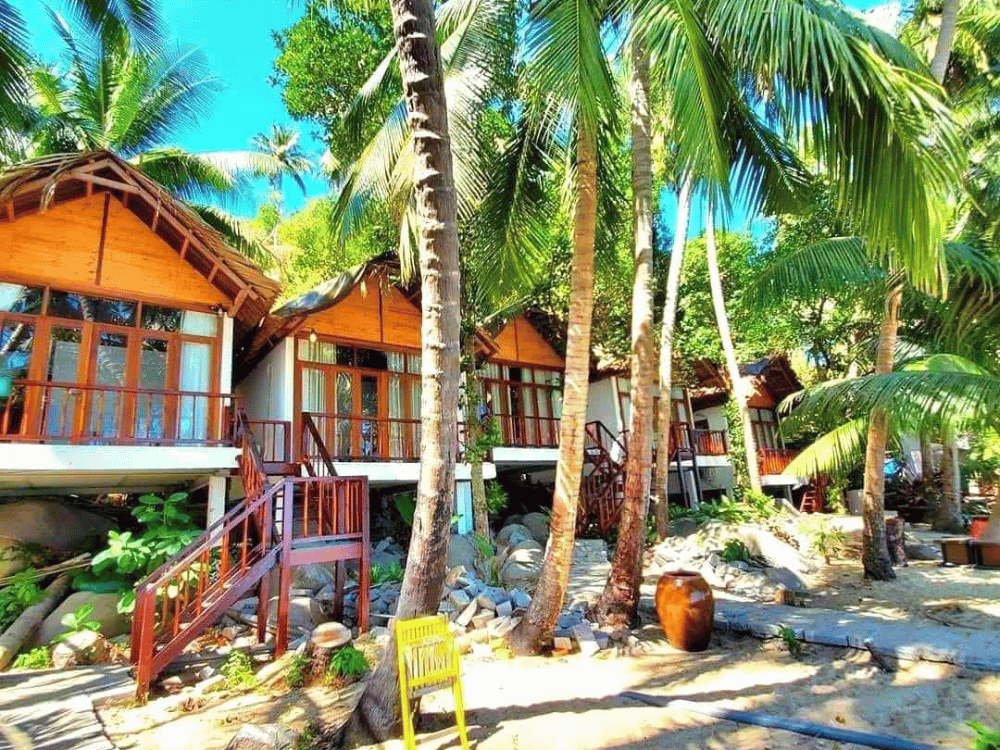 Giới thiệu về Bãi Bàng Hòn Sơn