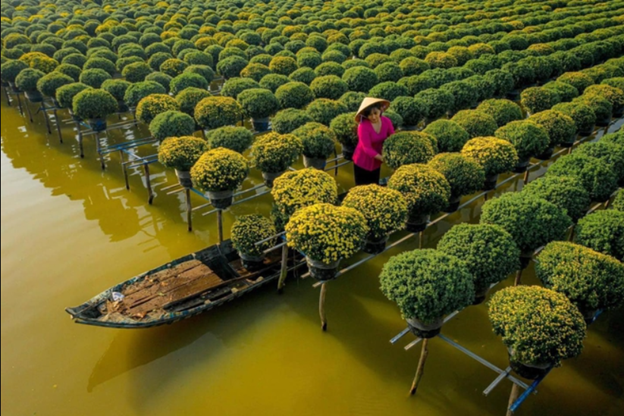 "Bản Đồ" Trải Nghiệm (Ở đâu & Giá cả)