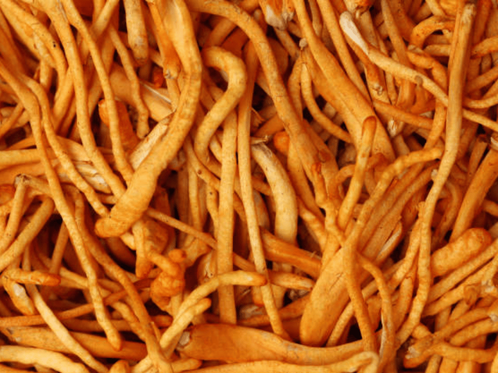 Tác dụng phụ và tính an toàn