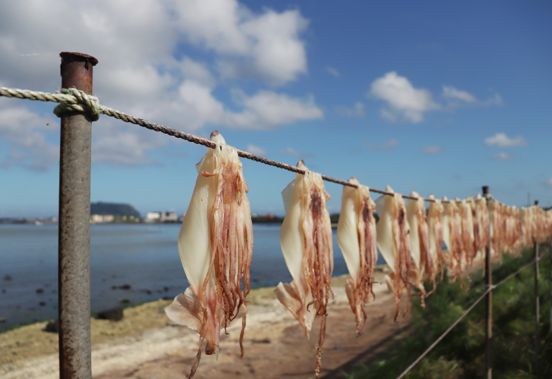 Giàu protein nhưng lại rất ít chất béo