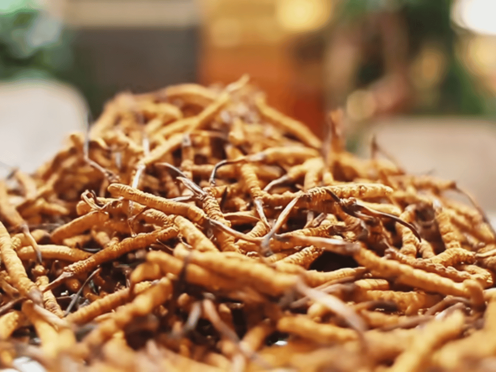 Tăng hiệu suất tập thể dục