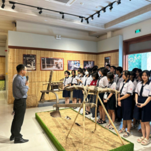 Hoạt động giáo dục