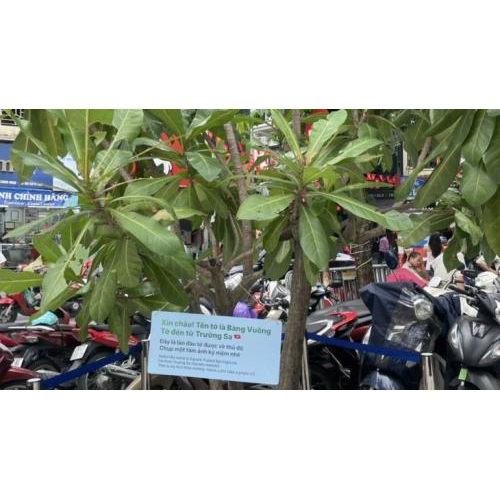 Sự kiện triển lãm "Một dải non sông" và giới thiệu sách ảnh "Biển của lòng người”