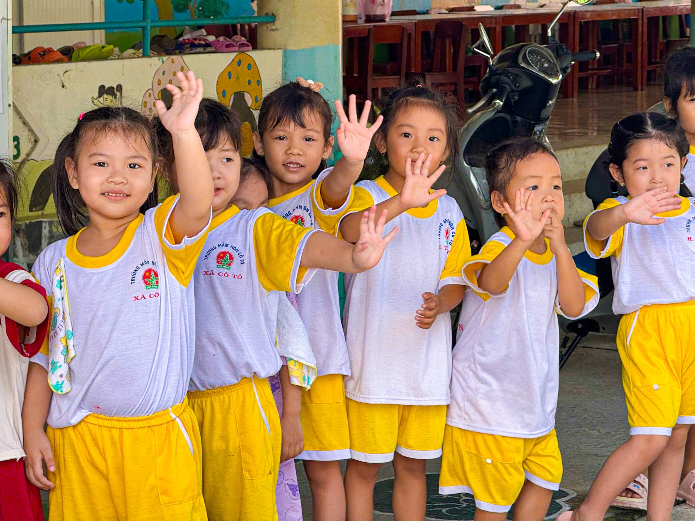 Hoạt động an sinh