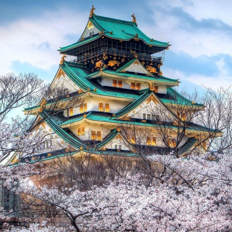 Tokyo – Kamakura - Núi Phú Sĩ - Yokohama – Narita