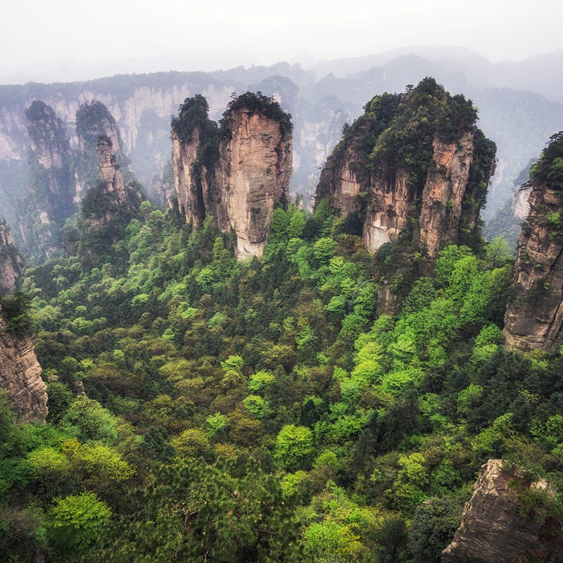 Tour Trung Quốc: Trương Gia Giới - Thiên Môn Sơn - Phượng Hoàng Cổ Trấn