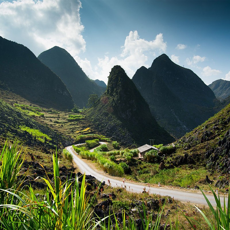 Du Lịch Mùa Hoa Tam Giác Mạch Hà Giang - Ng Văn - Cao Bằng - Thác Bản Giốc