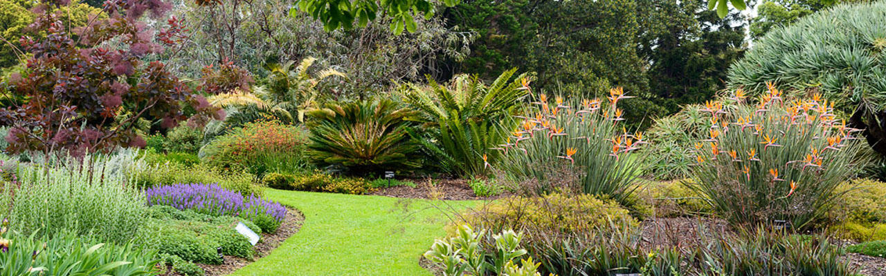 Vườn bách thảo hoàng gia Melbourne