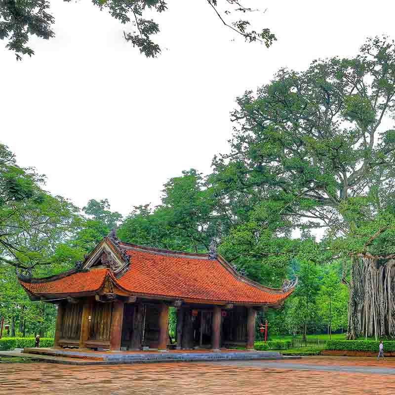 Du Lịch Thanh Hóa - Suối Cá Thần Cẩm Lương - Vườn Thú Safari - Đảo Chè Thanh Chương