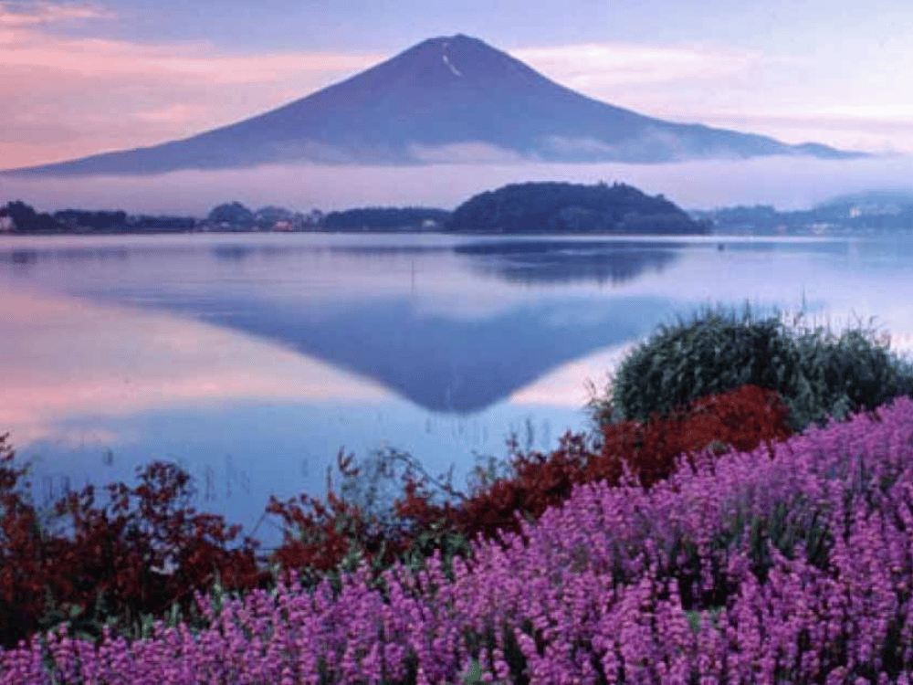 Hồ Kawaguchi (tỉnh Yamanashi)