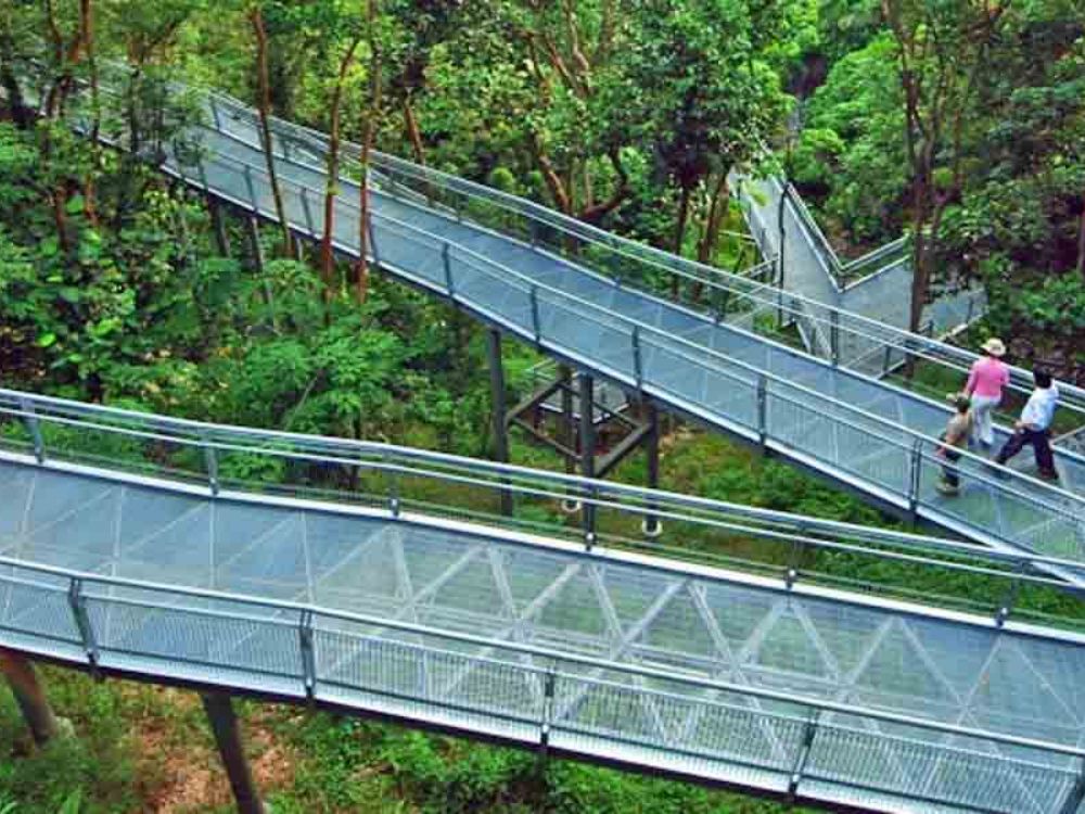 8. Tản bộ dọc đường mòn Southern Ridges ngắm toàn cảnh Singapore