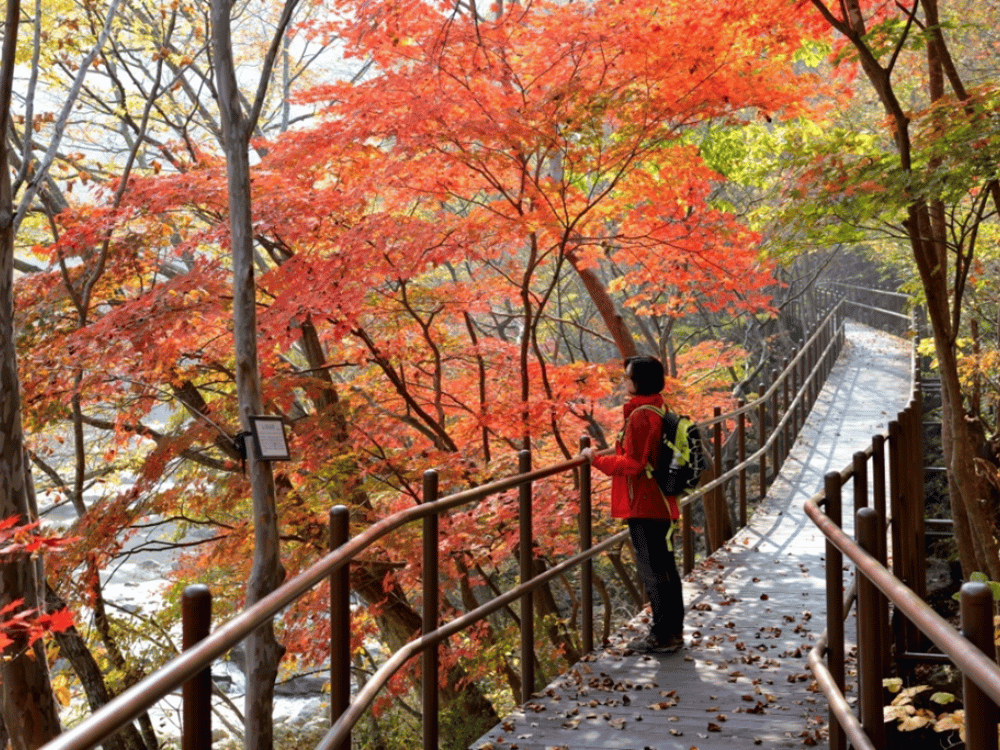 Công viên Quốc gia Jirisan