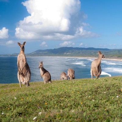 Du Lịch Úc: Melbourne - Sydney