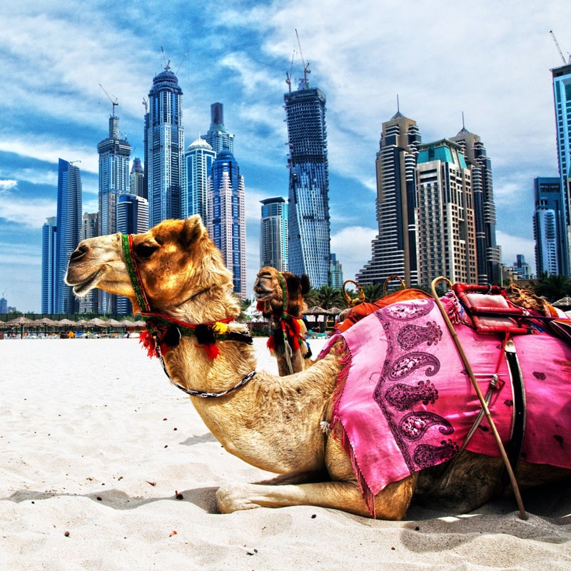 Du Lịch Dubai - Abu Dhabi